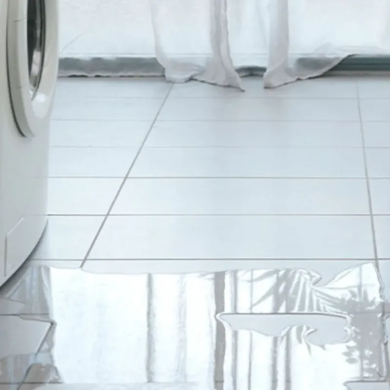 Appliance Leak Cleanup in Newport, WA