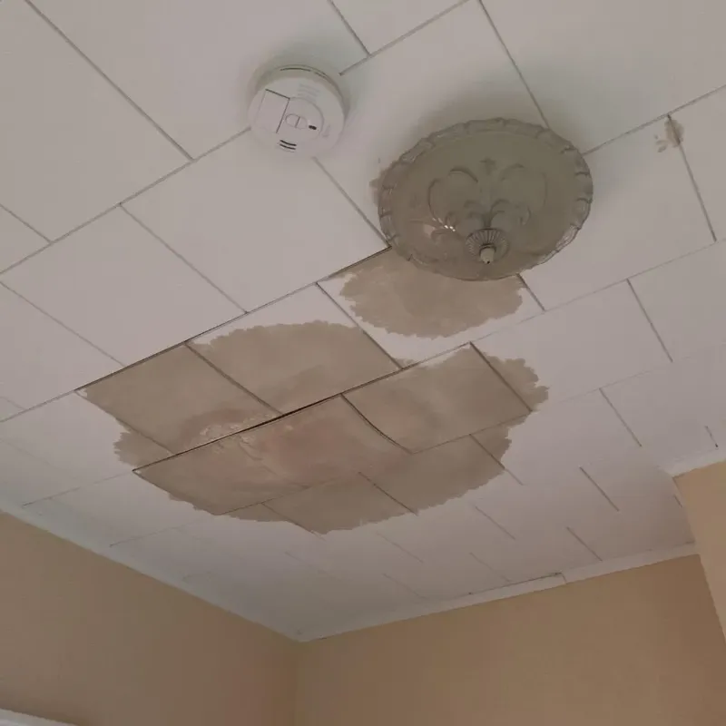 Ceiling Water Damage Repair in Newport, WA