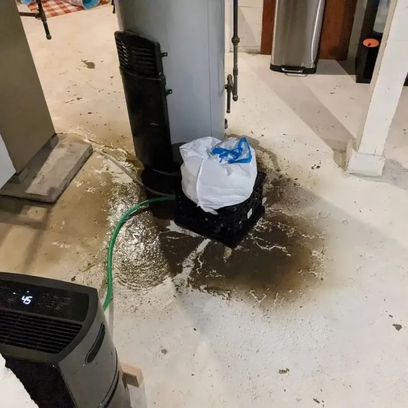 Sewage Backup Cleanup Service in Newport, WA
